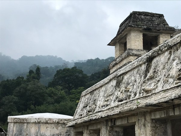 61315877_2167004546686392_3528282820113858560_o